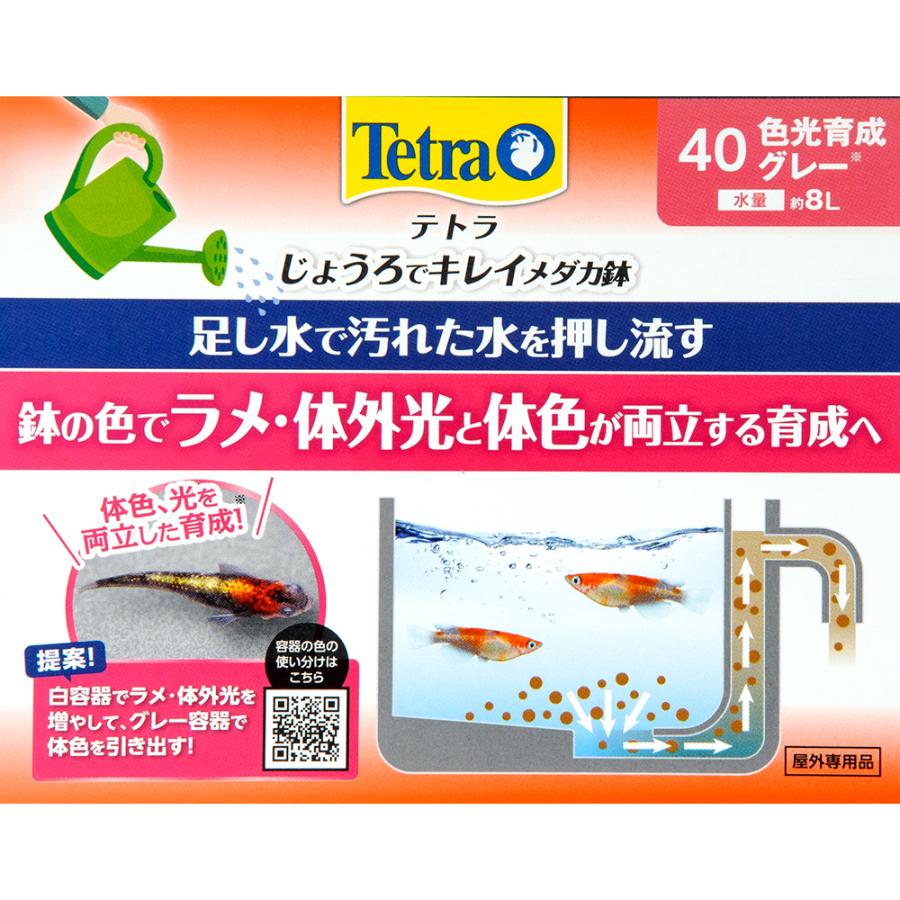 テトラ　じょうろでキレイメダカ鉢　４０　色光育成グレー　ソーラー　エアレーションセット　金魚鉢 |  | 03