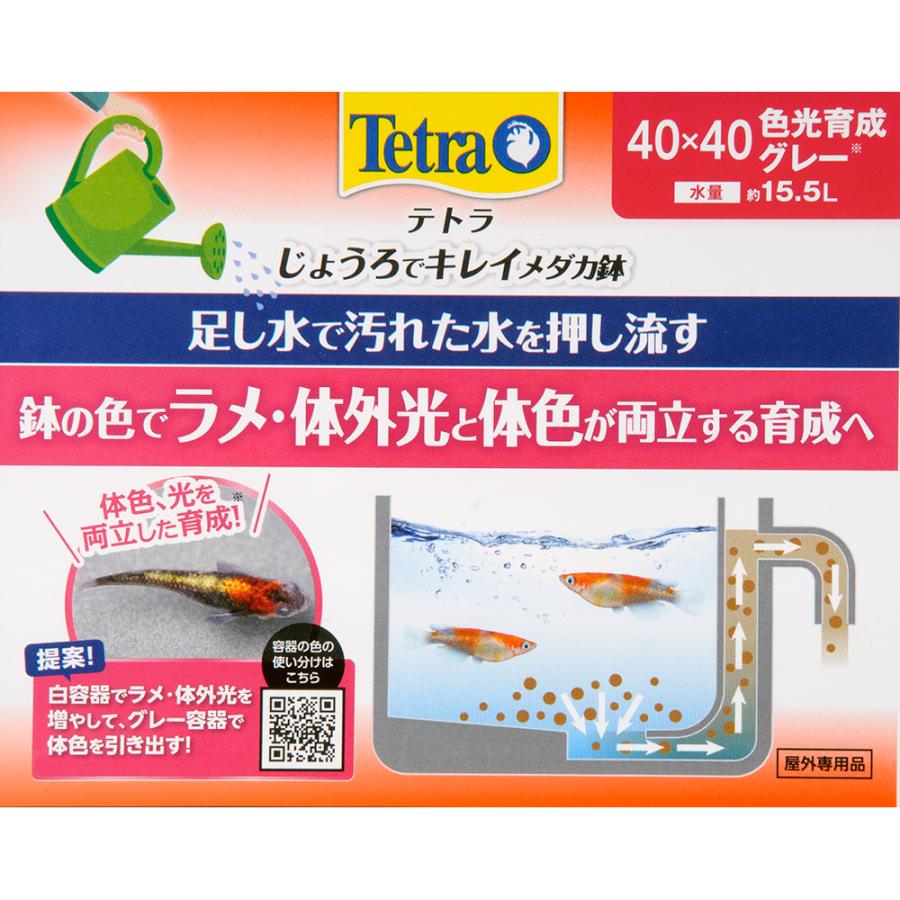 テトラ じょうろでキレイメダカ鉢 40×40 色光育成グレー×6 めだか 【美品】じょうろでキレイメダカ鉢　容器6個
