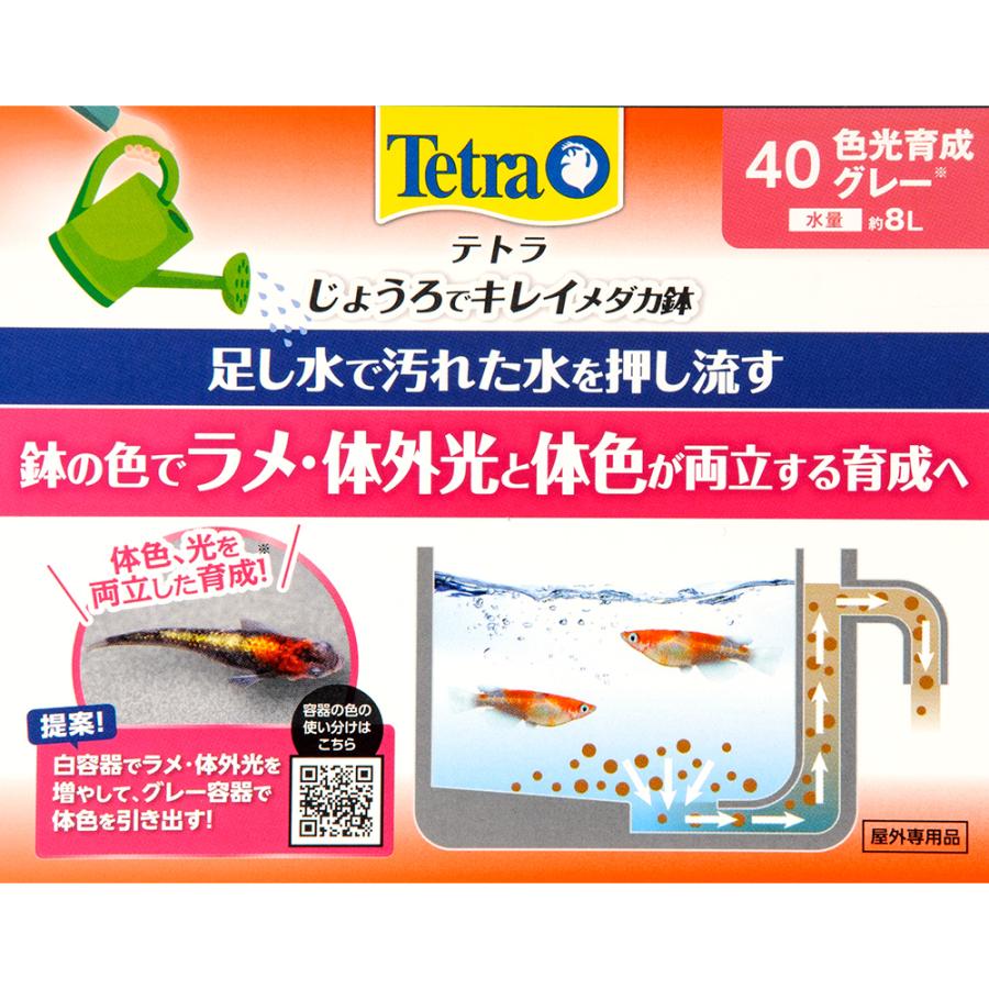 テトラ　じょうろでキレイメダカ鉢　４０　色光育成グレー×６　めだか　水槽　鉢　屋外　水足しだけで水換え簡単　金魚鉢｜chanet｜04