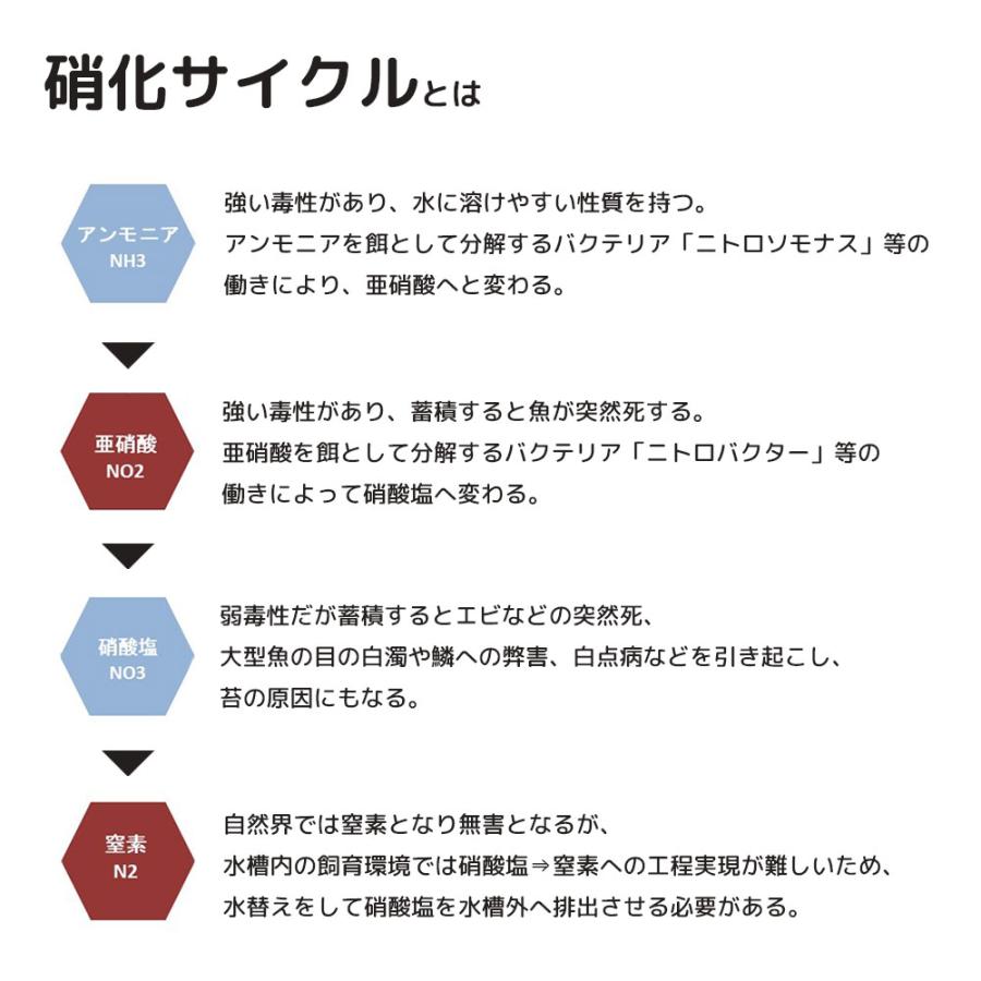 B-blast（ビーブラスト） B−blast N918 硝化バクテリア