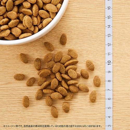 シュプレモ ニュートロ シュプレモ 小型犬用 成犬用 3kg×2袋＋