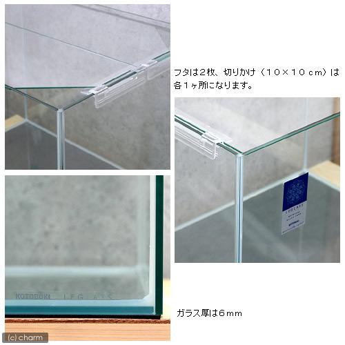 大型）コトブキ工芸 レグラスフラット F−600L 60cm水槽