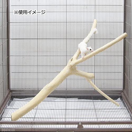 Leaf Corp （大型）天然素材の大きなとまり木 LL 2本入り