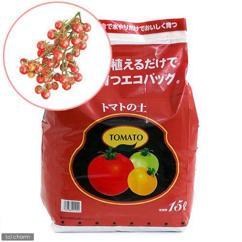 観葉植物 エコバッグで育てる 簡単トマト栽培セット トゥインクルミニトマト 家庭菜園 １セット 激安 超特価