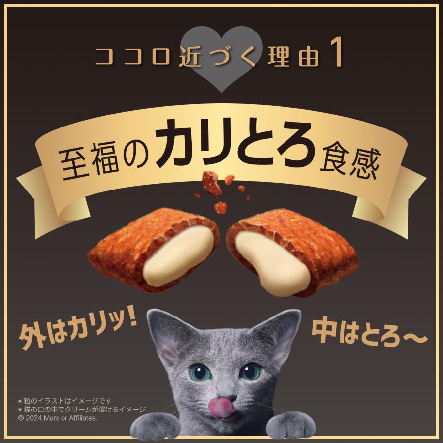 シーバ デュオ キャットフード シーバ デュオ 200g お肉とお魚 5