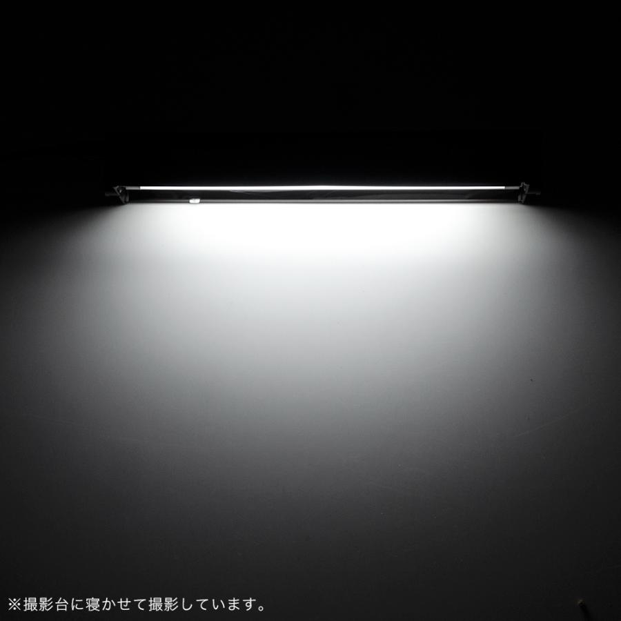 三晃商会 REPTIZOO T5 UVB10．0灯 8W＆カバーコンボ