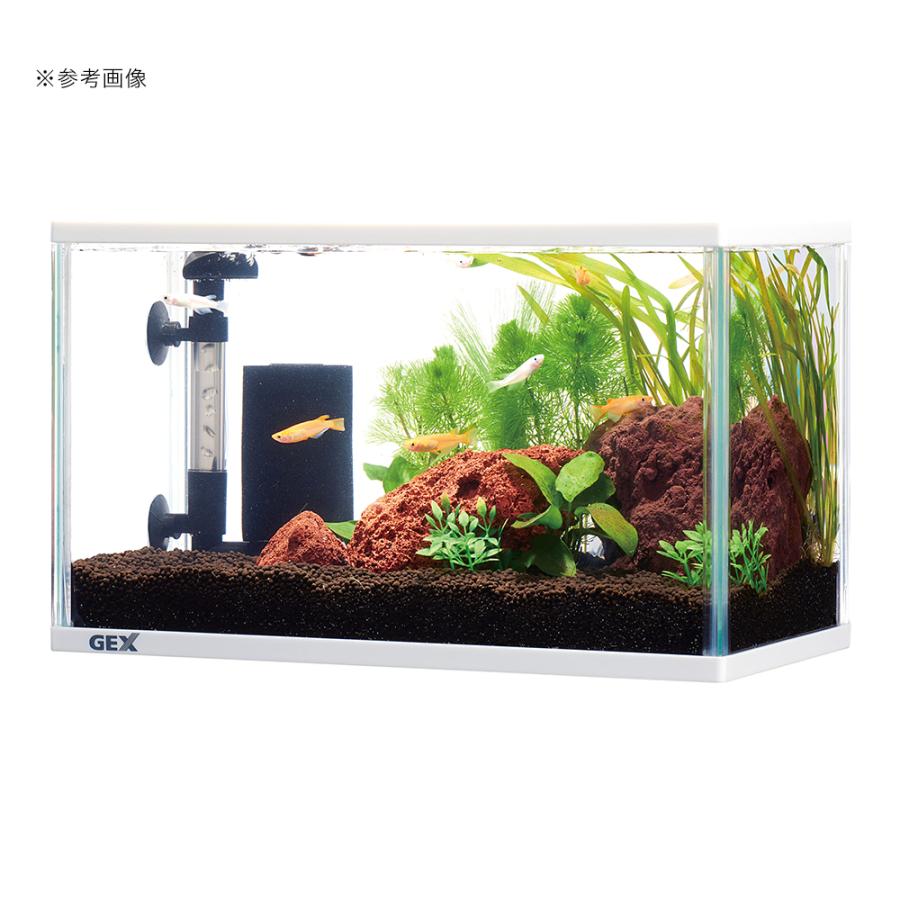 GEX メダカのための水槽（31×16×19cm）＋冷却ファンセット