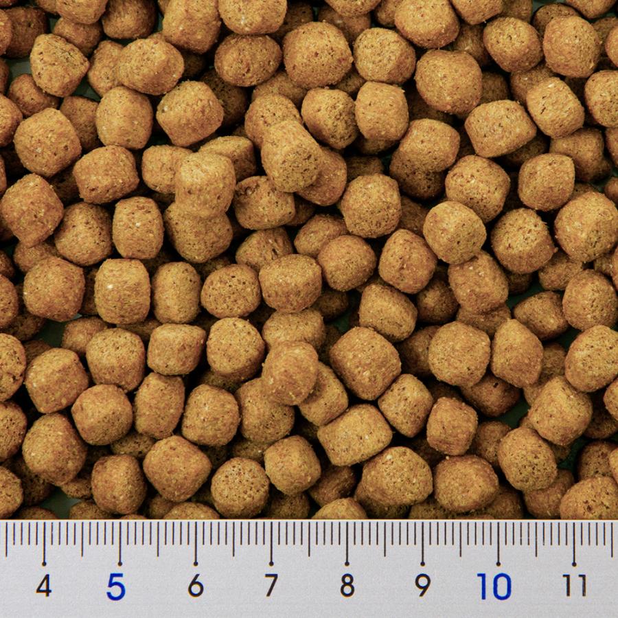 日本ペットフード 九官鳥フード キューチャン 640g : チャーム