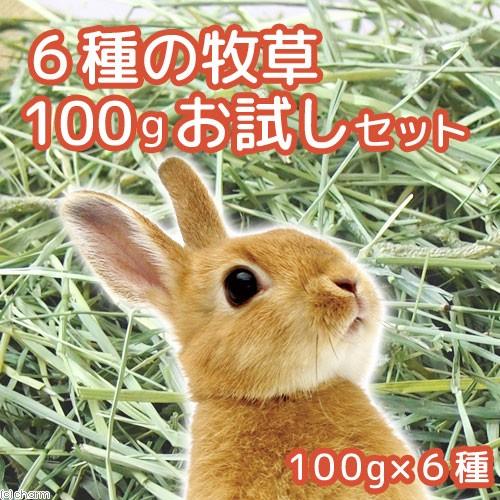 ６種類の牧草お試しセット（１００ｇ×６種類）　チモシー４種・イタリアンライグラス・アルファルファ　うさぎ　小動物　お一人様６点限り｜chanet｜04