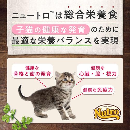 ニュートロ　子猫　キャット　ワイルド　レシピ　キトン　チキン　子猫用　２ｋｇ×２袋＋デイリー　ディッシュ　子猫用　パウチ　おまけ付｜chanet｜02