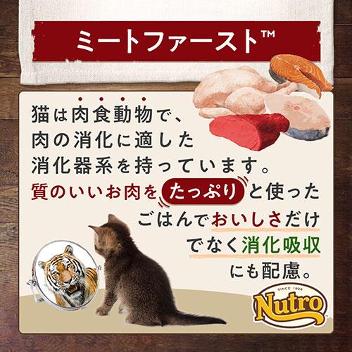 ニュートロ　子猫　キャット　ワイルド　レシピ　キトン　チキン　子猫用　２ｋｇ×２袋＋デイリー　ディッシュ　子猫用　パウチ　おまけ付｜chanet｜04