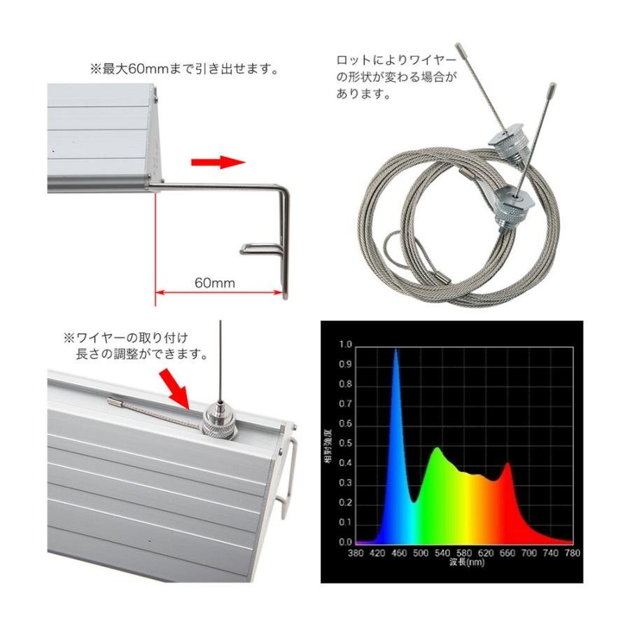 水草）水の中の紅葉セット（水上葉）（無農薬）＋アクロLED