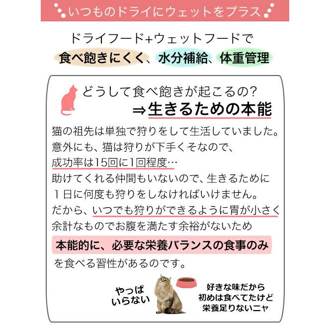 ロイヤルカナン　猫　減量したい成猫用　ドライウェットセット　ドライ３ｋｇ×１袋　ジップ付　＋　パウチ８５ｇ×１２袋｜chanet｜03