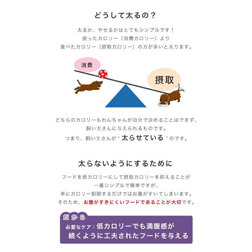 ロイヤルカナン　避妊・去勢犬用　小型犬用　ミニ　ステアライズド　生後１０ヵ月齢以上　８ｋｇ×３袋　ジップ付　お一人様１点限り_9