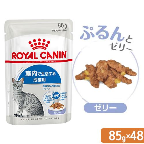 ロイヤルカナン　猫　ＦＨＮ−ＷＥＴ　室内で生活する成猫用　インドア　ゼリー　８５ｇ×４８袋　室内猫　ウェット　お一人様１点限り（Yahoo!・チャーム charm ヤフー店）