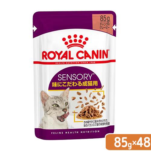 ロイヤルカナン　猫　センサリーテイスト　味にこだわる猫用　８５ｇ×４８袋　正規品　ＦＨＮ−ＷＥＴ　お一人様１点限り（Yahoo!・チャーム charm ヤフー店）