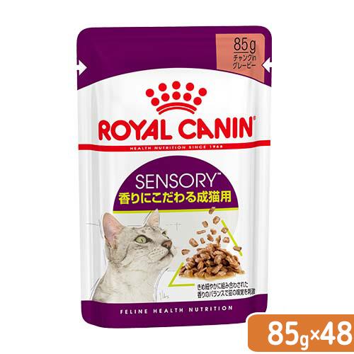ロイヤルカナン　猫　センサリースメル　香りにこだわる猫用　８５ｇ×４８袋　正規品　ＦＨＮ−ＷＥＴ　お一人様１点限り（Yahoo!・チャーム charm ヤフー店）
