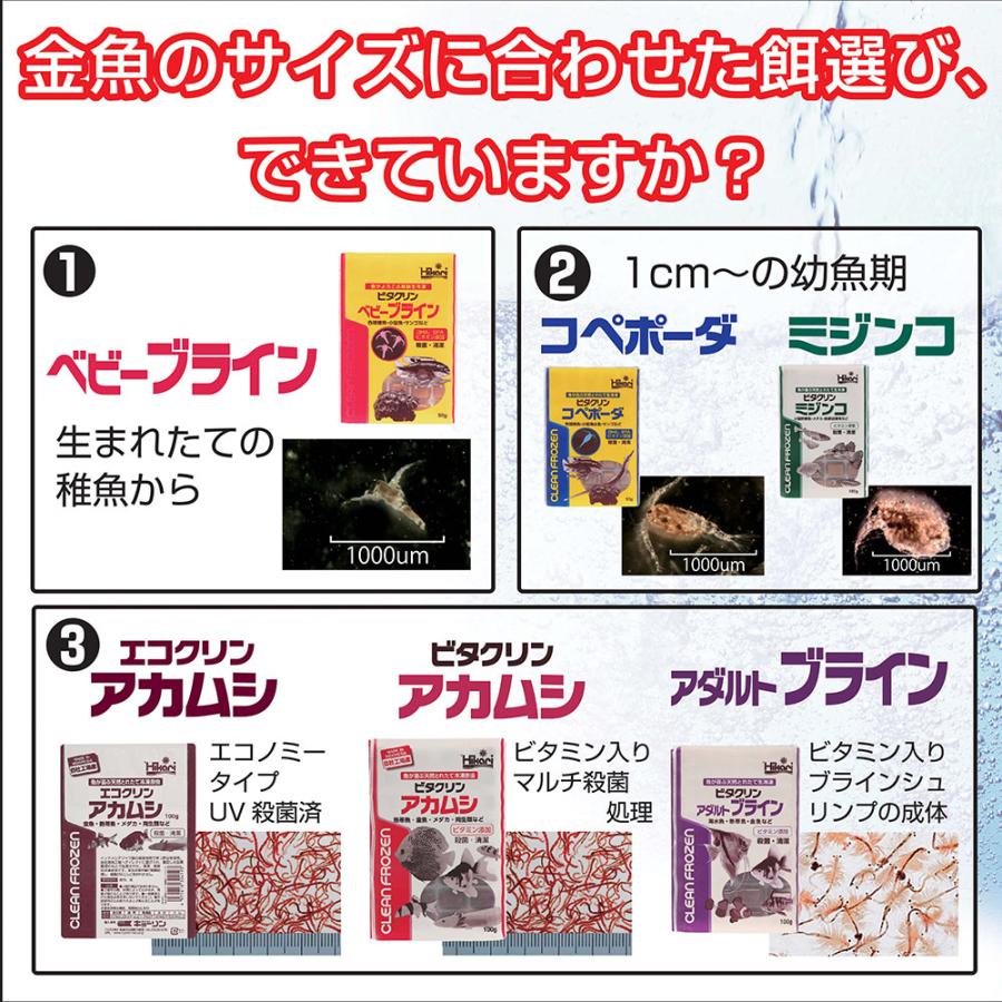 冷凍☆キョーリン ビタクリンアカムシ 100g 1枚 冷凍赤虫 別途