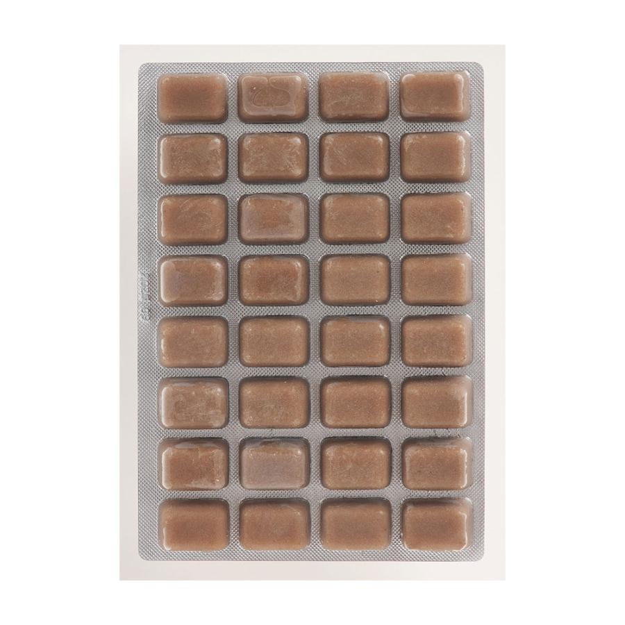 冷凍☆ミジンコ キョーリン ビタクリンミジンコ 100g 1枚 別途