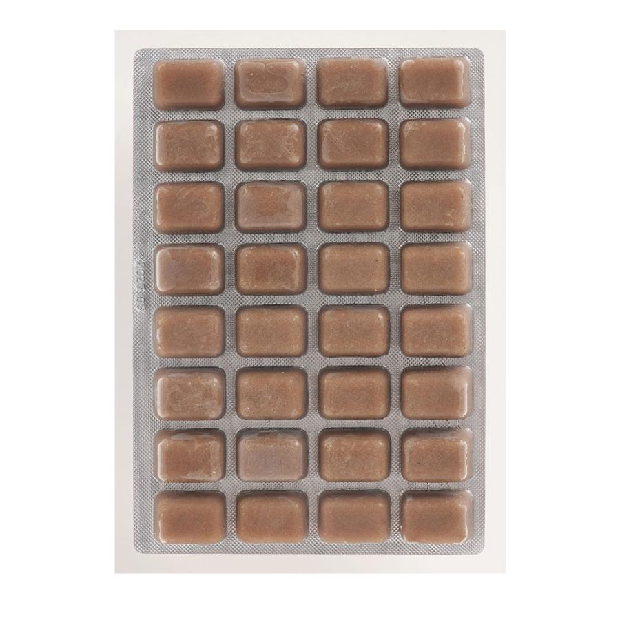 冷凍☆ミジンコ キョーリン ビタクリンミジンコ ミニキューブ 45g