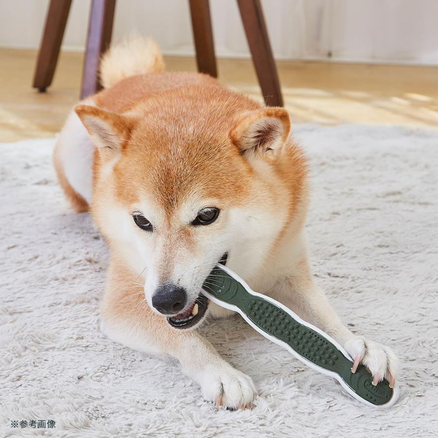 犬のおもちゃ　13個セット　中型犬　コング　デンタルボーン　ペティオ　Tonka Petio（ペティオ） 犬用おもちゃ かんでるボーン デンタル スーパー