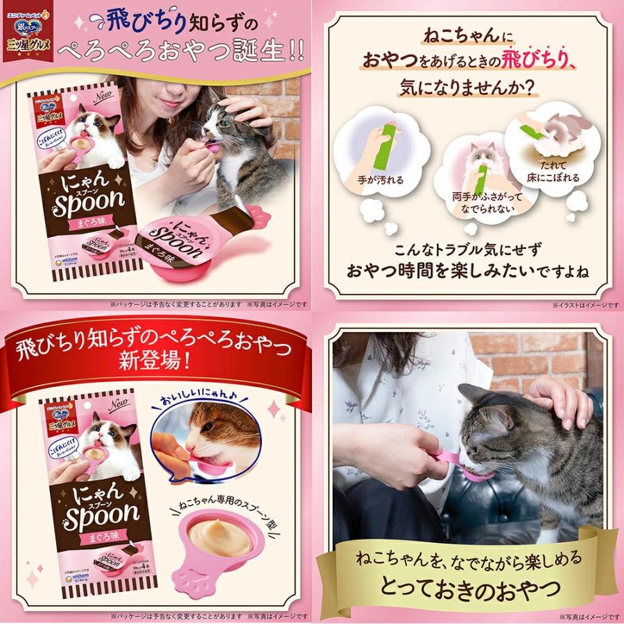 銀のスプーン 銀のスプーン 三ツ星グルメ おやつ にゃんSpoon 毛