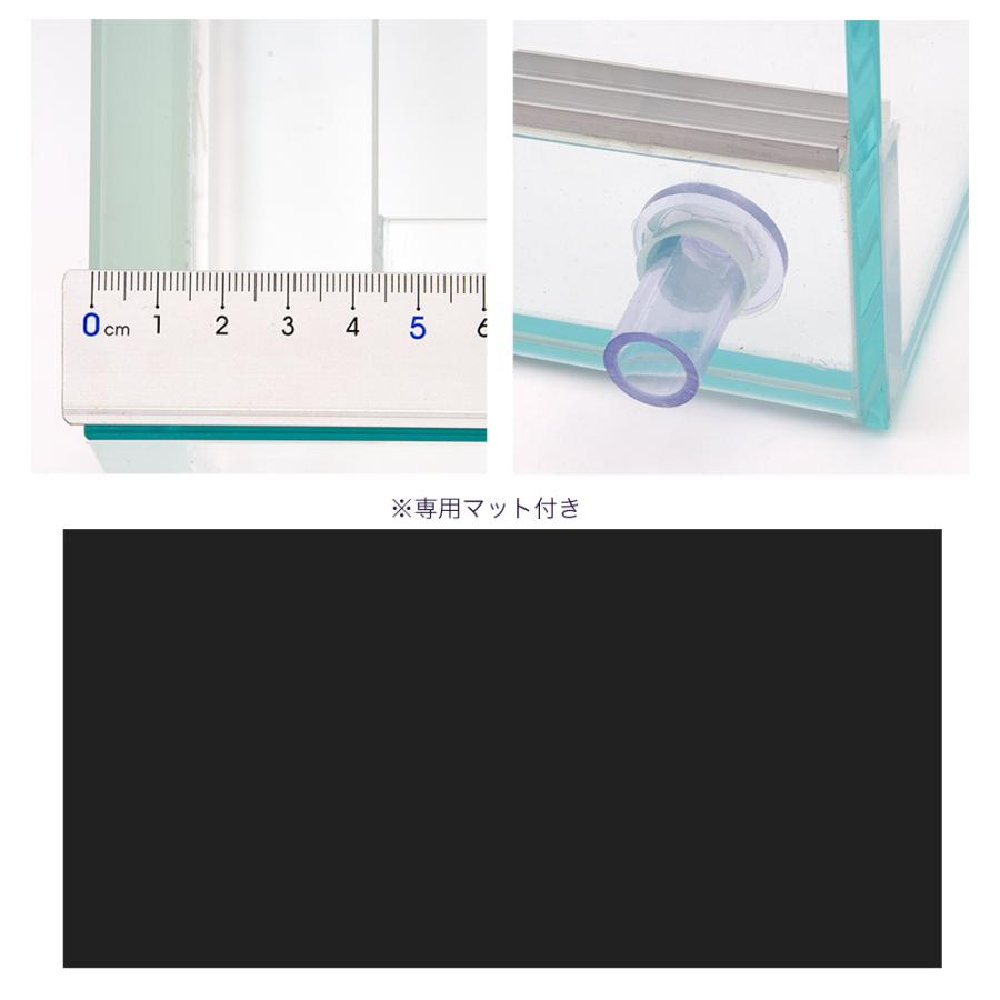 完成品 パルダリウム 巨大 60cmオールガラス水槽 完成品 パルダリウム 巨大 60cmオールガラス水槽 完成品 パルダリウム