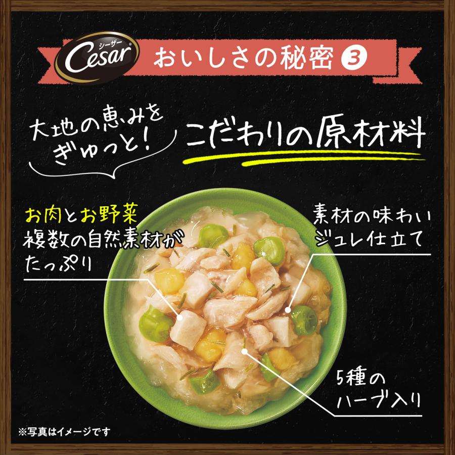 シーザー パウチ　自然素材レシピ 平飼い鶏の蒸しささみ 60g 145袋 Amazon.co.jp: シーザー 自然素材レシピ 平飼い鶏の蒸しささみ