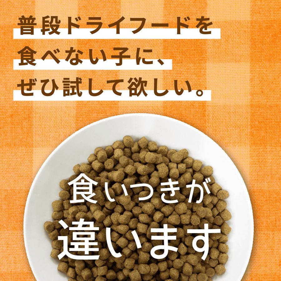 ニチドウ ドッグフード 国産 ドクタープロ Dr．PRO チキン