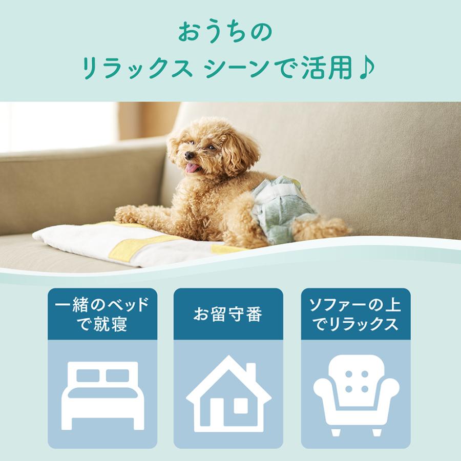 キミおもい エリエール キミおもい リラックスウェア SS 38枚