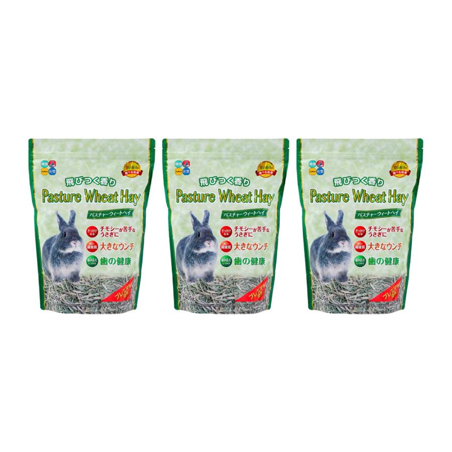 ハイペット パスチャーウィートヘイ 400g×3 うさぎ 牧草