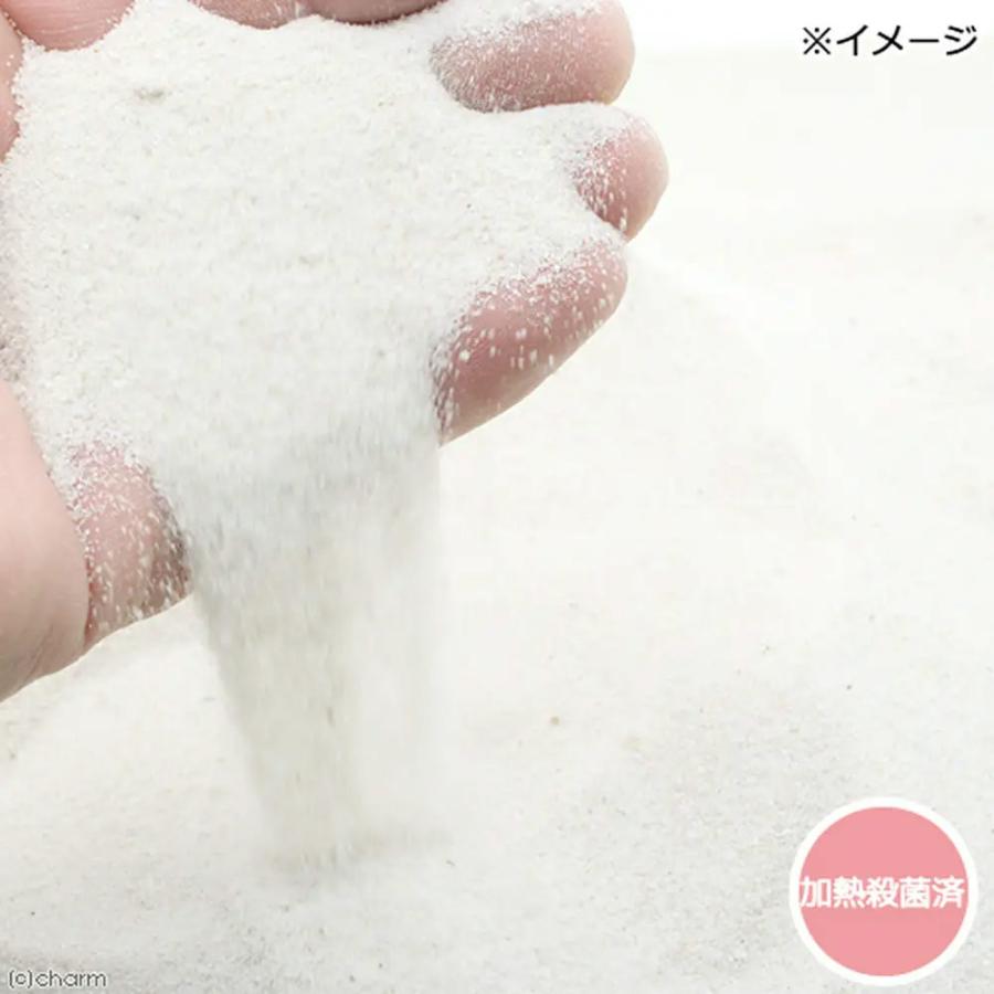 チンチラ 砂浴びセット ナチュラル : チャーム charm ヤフー店 - 通販
