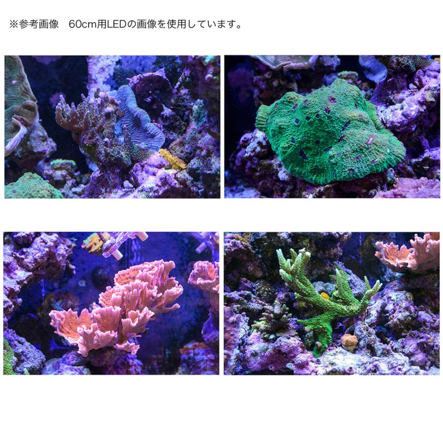 アクロ TRIANGLE LED MARINE Pro 300
