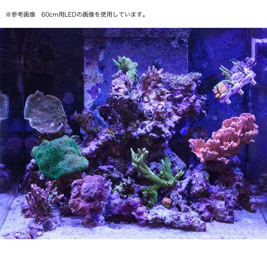 アクロ TRIANGLE LED MARINE Pro 900
