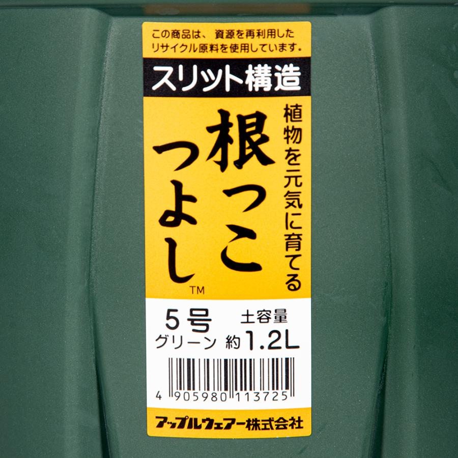 スリット鉢　アップルウェアー　根っこつよし　５号　グリーン　植木鉢　緑 | アップルウェアー | 03