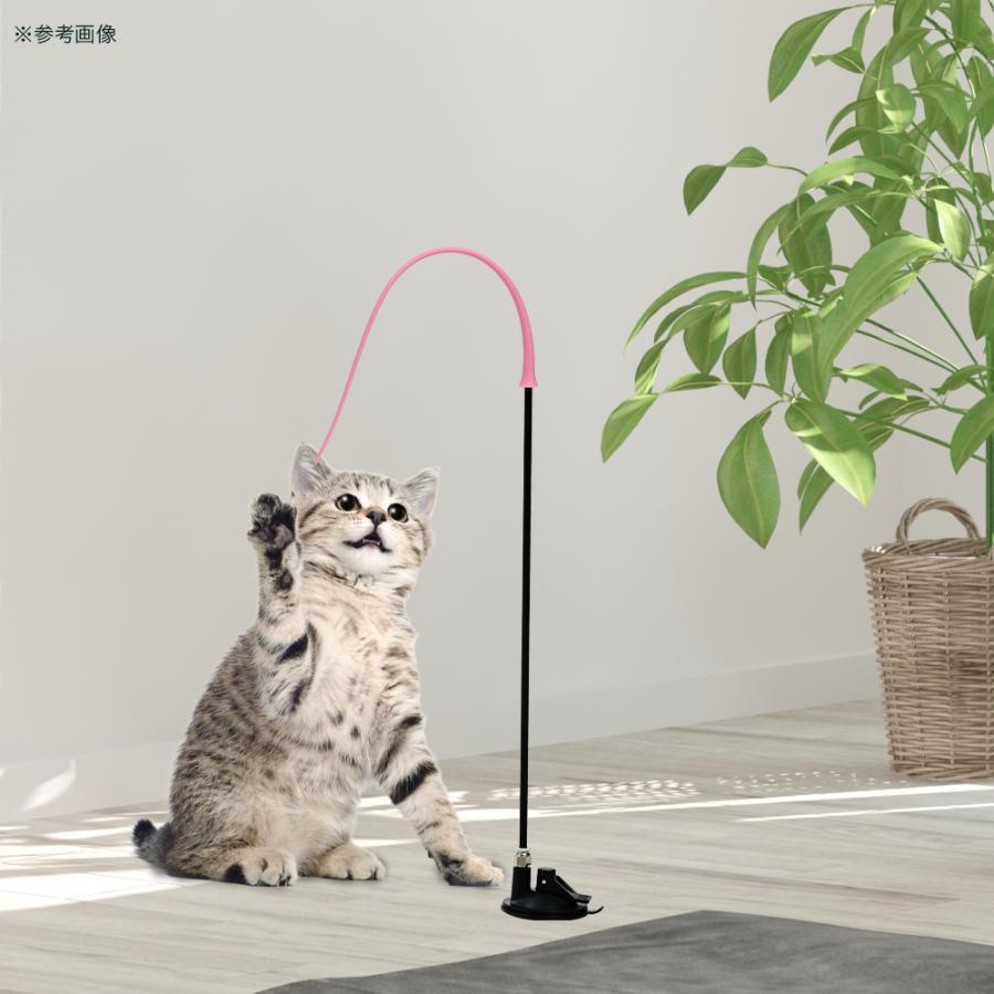 極遊び塾！ マルカン 極遊び塾！ くねくねじゃらし吸盤付き : チャーム