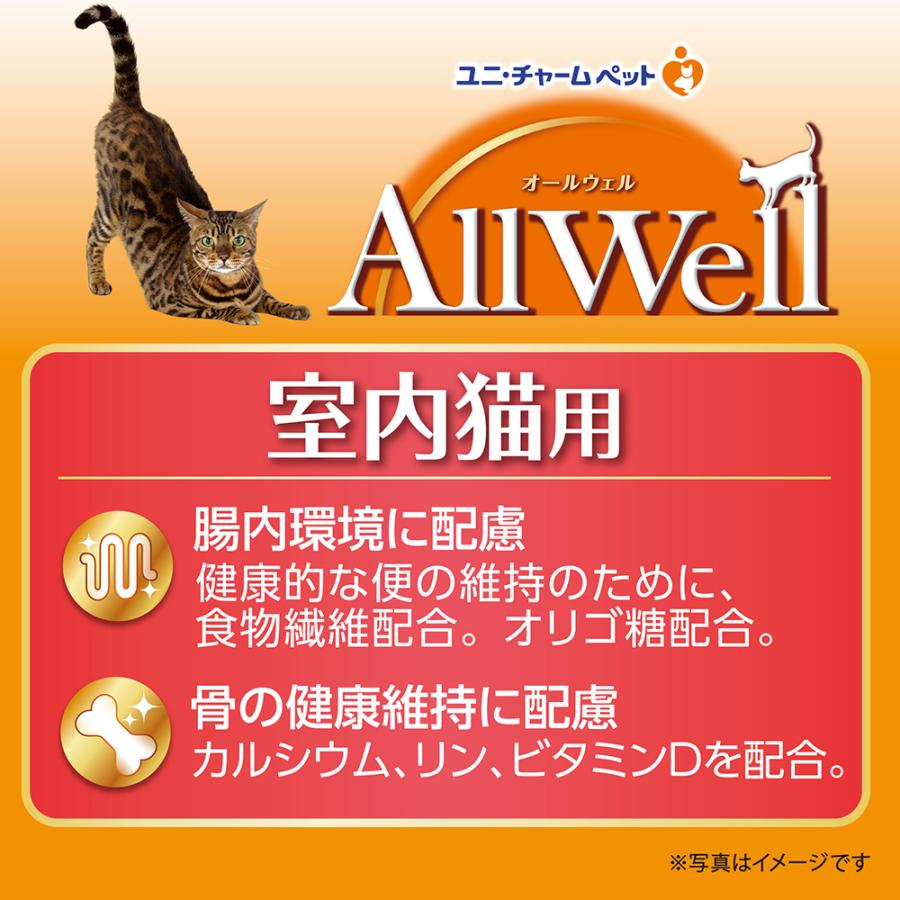 キャットフード オールウェル 室内猫用 贅沢素材入り フィッシュ味