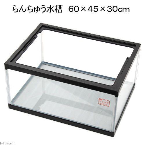 らんちゅう水槽 600ワイド 60×45×30cm 60cm水槽 らんちゅう水槽 600ワイド 60×45×30cm 60cm水槽