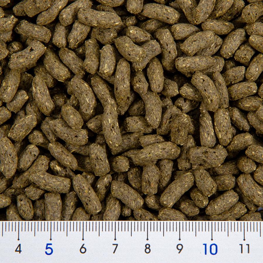 GEX（ジェックス） デグープレミアムフード シンバイオティクス