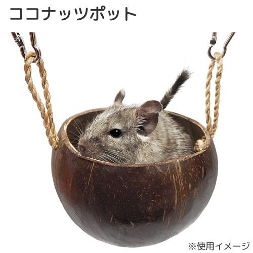 レインボー ココナッツポット 小動物 ハウス : チャーム charm ヤフー