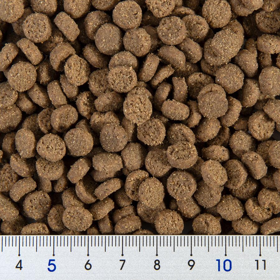 フェレットフード ジャパンフェレミアム 1．5kg 国産 正規品