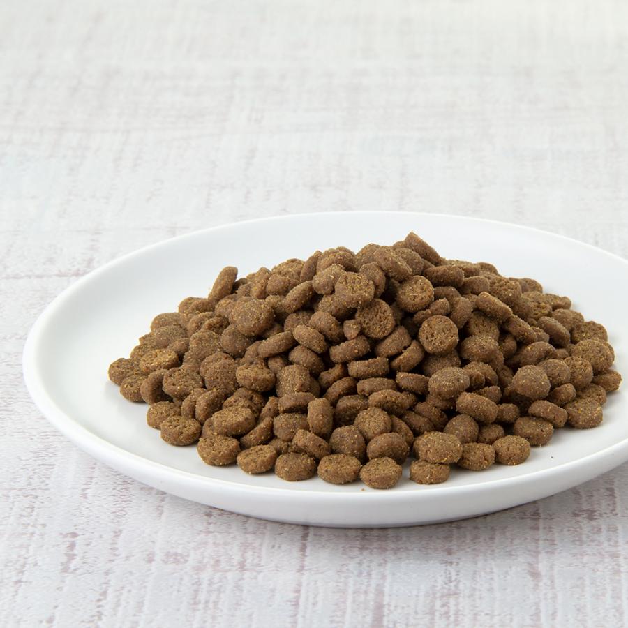 フェレットフード ジャパンフェレミアム 1．5kg 国産 正規品