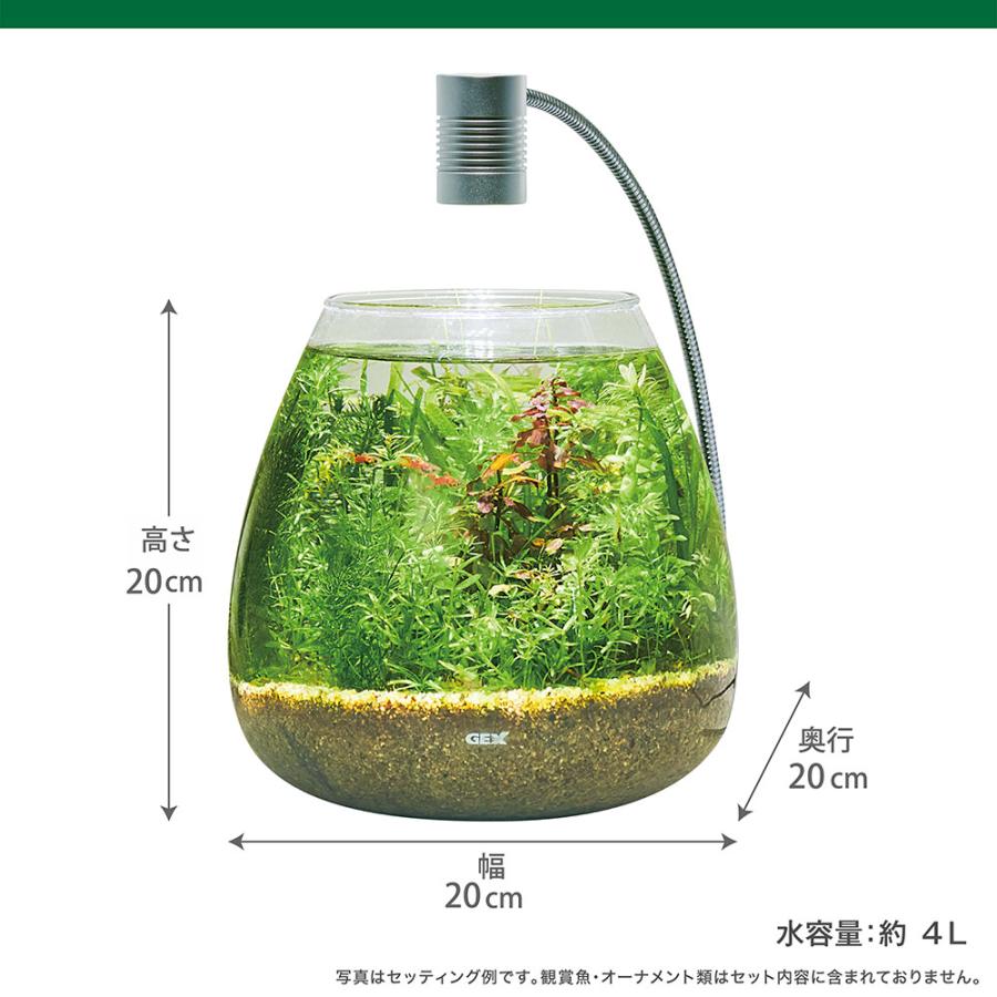 MeGreen GEX 水槽セット MeGreen 新鮮な水草付き グラス