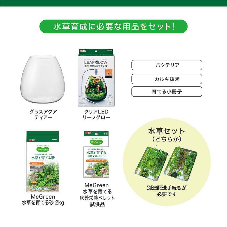 MeGreen GEX 水槽セット MeGreen 新鮮な水草付き グラス