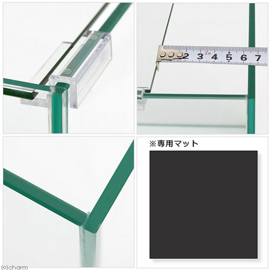 熱帯魚がすぐに飼える水槽セット！ アクロ30キューブN GEX