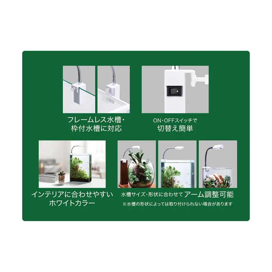 ボトルアクア用ライト&水槽台セット GEX CLEAR LED ボトルアクア用ライト&水槽台セット GEX CLEAR LED