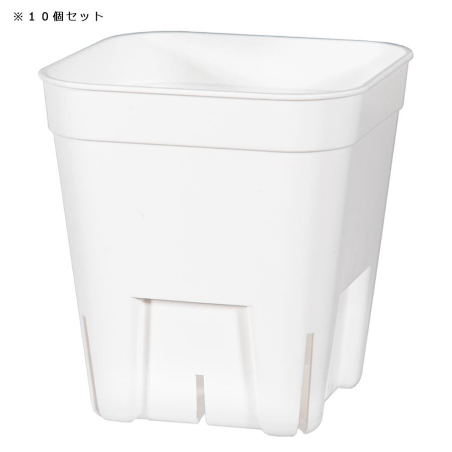 スリット鉢 プレステラ 75型 白 10個セット : チャーム charm