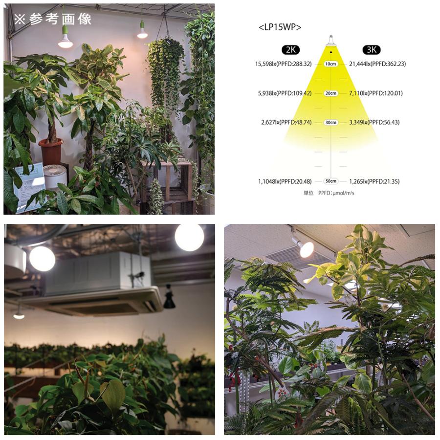 フューチャーライト　ＬＰＬ１５ＷＢ　３Ｋ　植物育成用ライト　ＬＥＤ　観葉植物 フューチャーライト LPL15WB 3K 植物育成用ライト LED