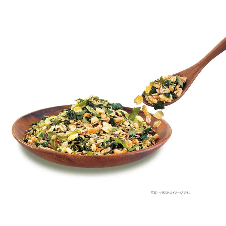 GEX（ジェックス） うさグラ 緑の野菜 150g うさぎ フード おやつ