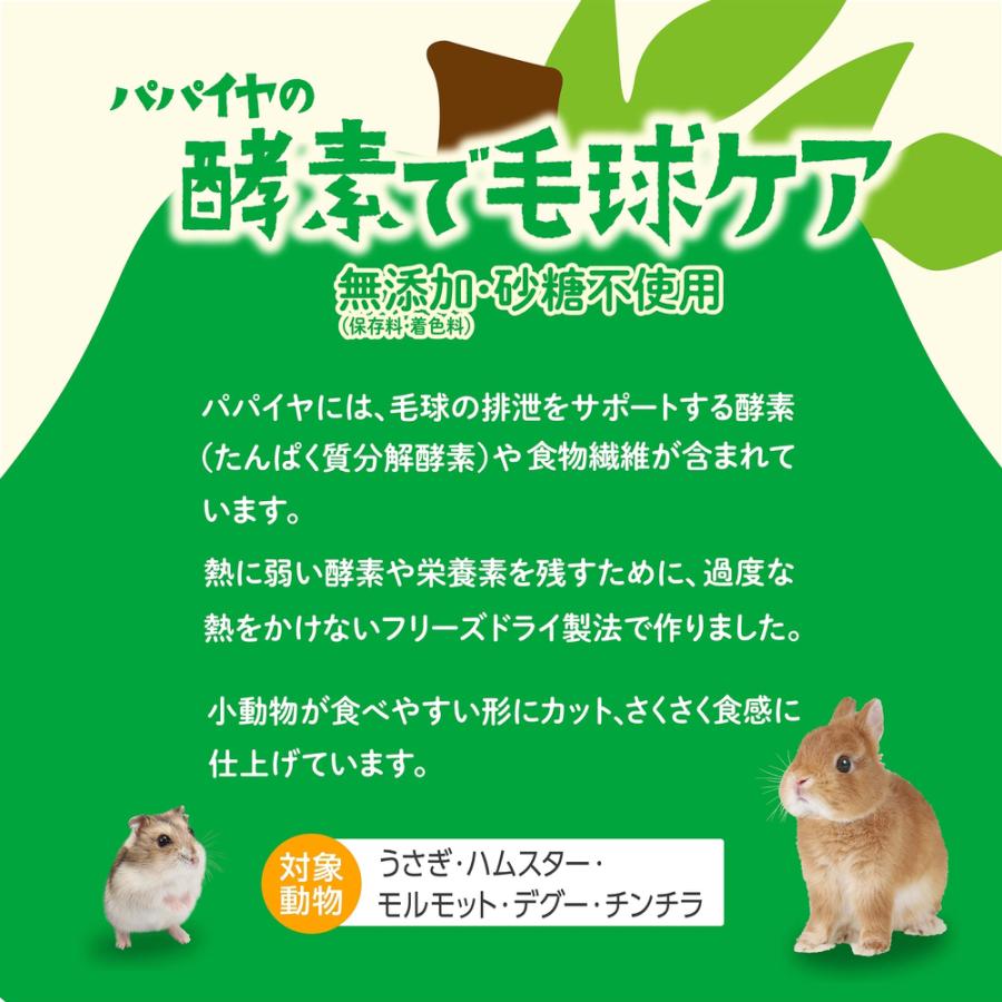 GEX（ジェックス） 完熟 とこなつパパイヤ 5g おやつ ドライフルーツ